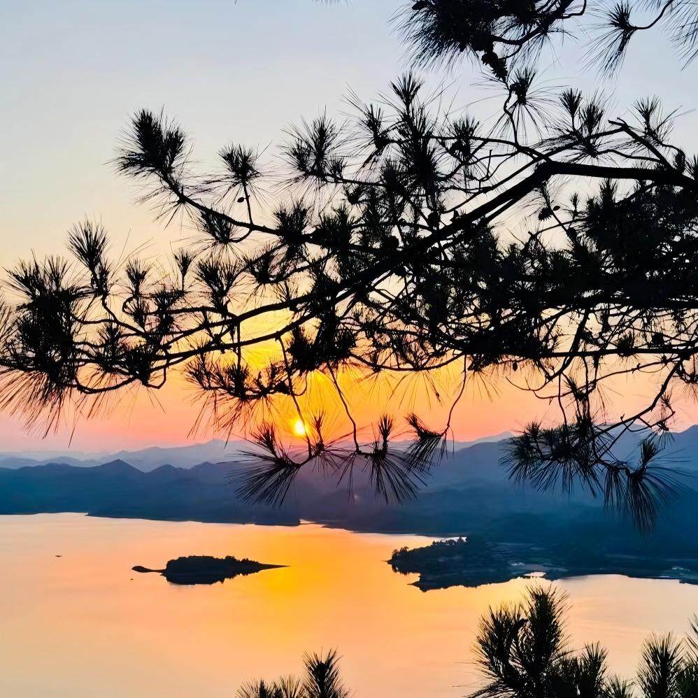 (杭州市区接送)千岛湖纯玩一日游 梅峰岛登高+中心湖区游湖登岛