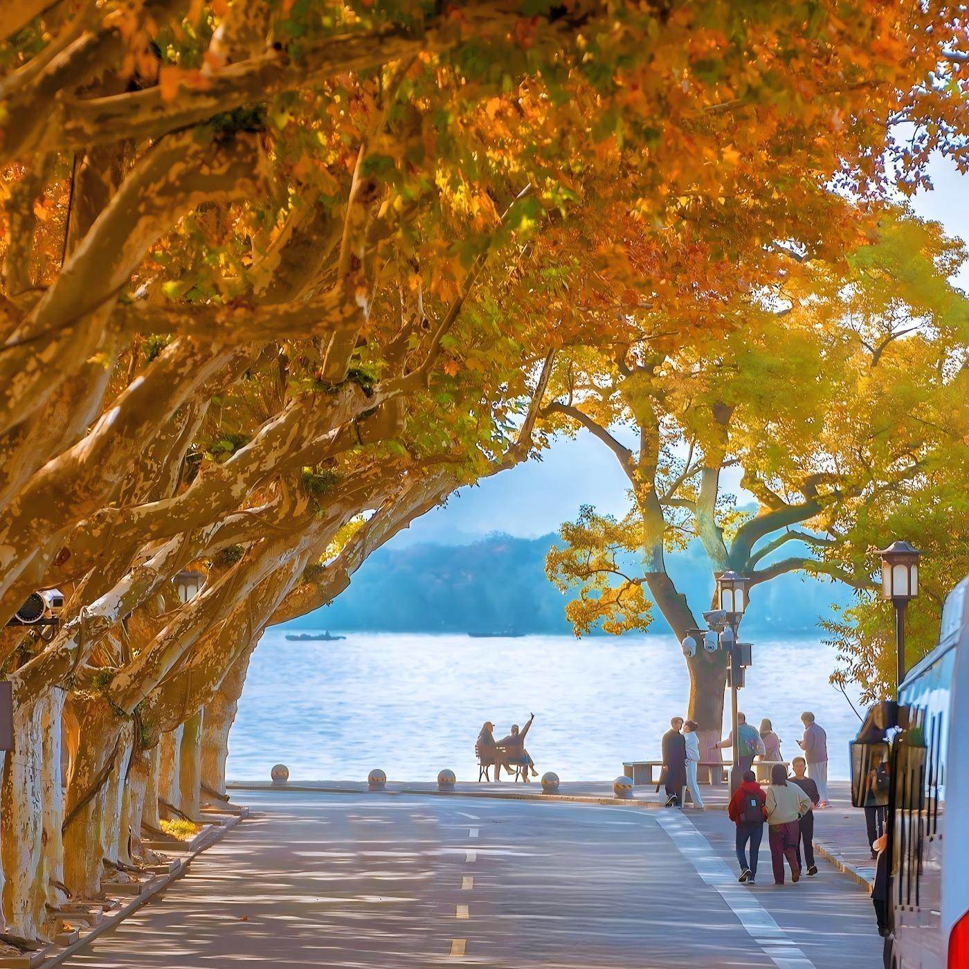 浙江旅游杭州西湖景区雷峰塔灵隐寺纯玩一日团
