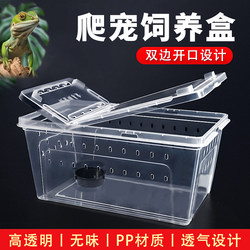 Reptile pet insect snail mantis spider turtle breeding box