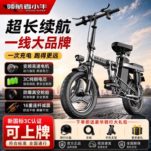 Pilot Mavericks folding electric power bicycle driver ultra-light portable small new national standard battery bicycle