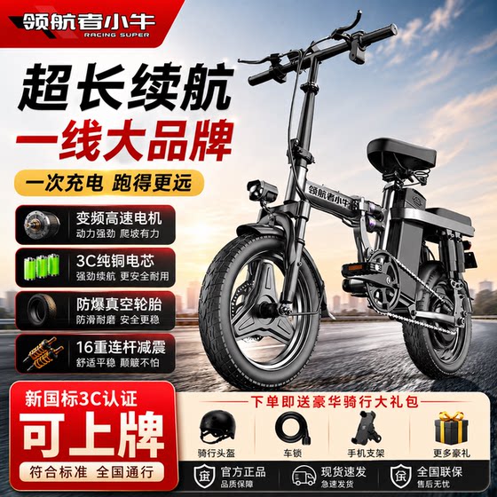 Pilot Mavericks folding electric power bicycle driver ultra-light portable small new national standard battery bicycle