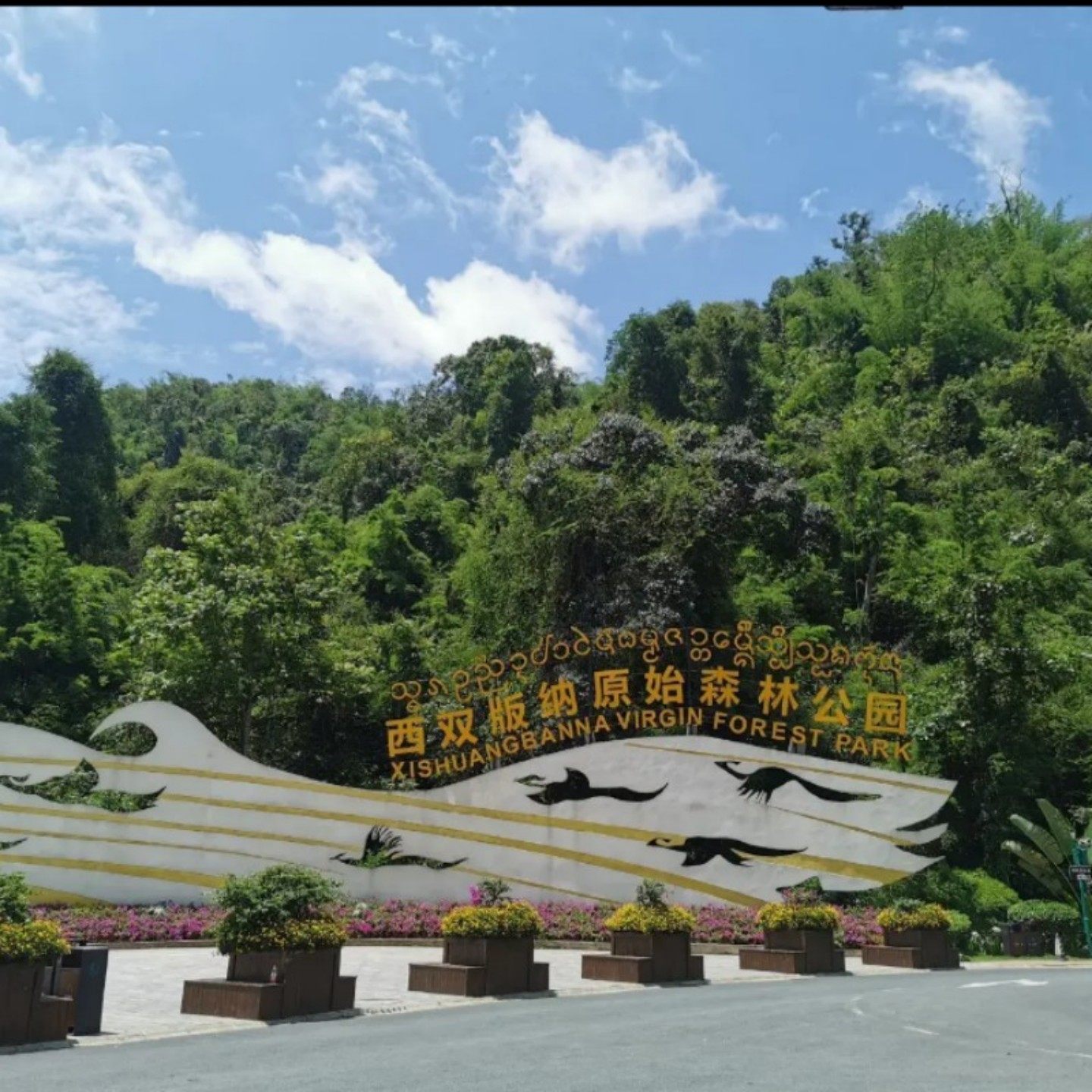 【象遇湄澜-8人小团】云南西双版纳5天4晚游 奢享住宿 尽享美食