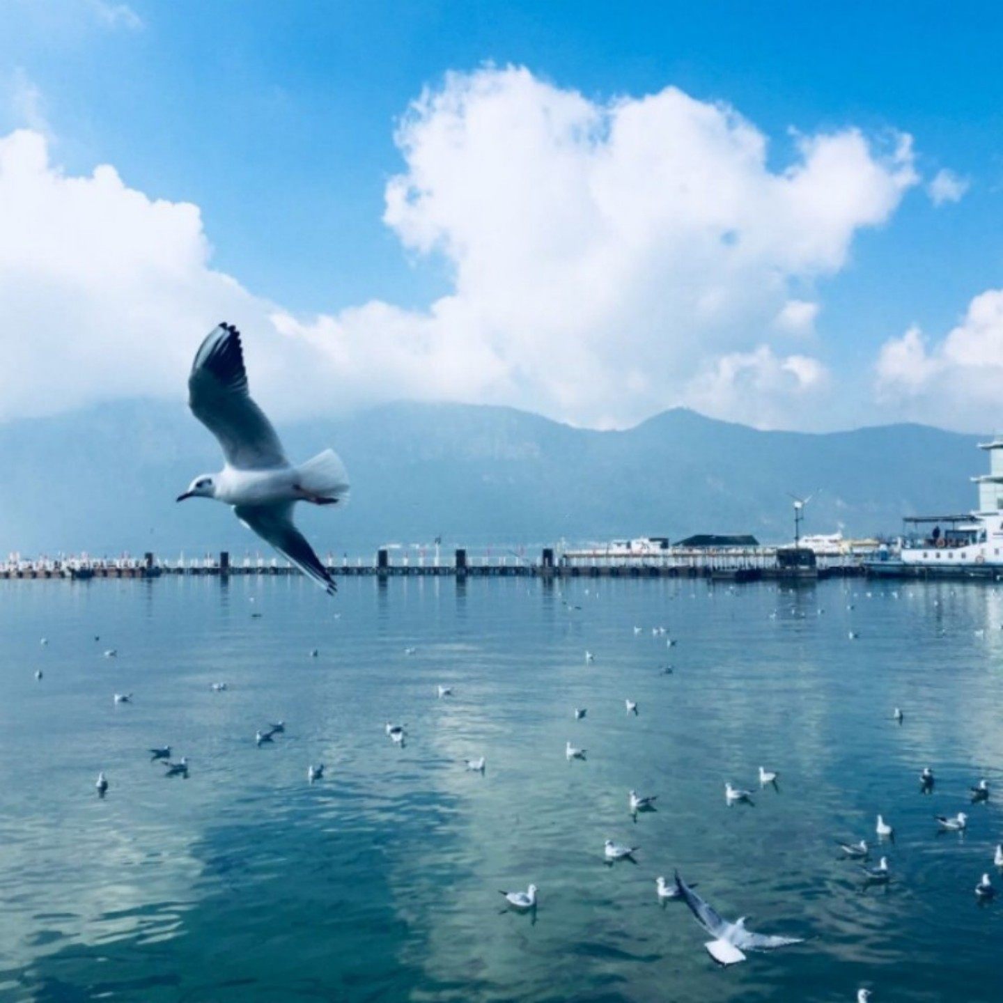 【15人小团】轻奢纯玩 云南丽江泸沽湖大理7天6晚 含省内交通