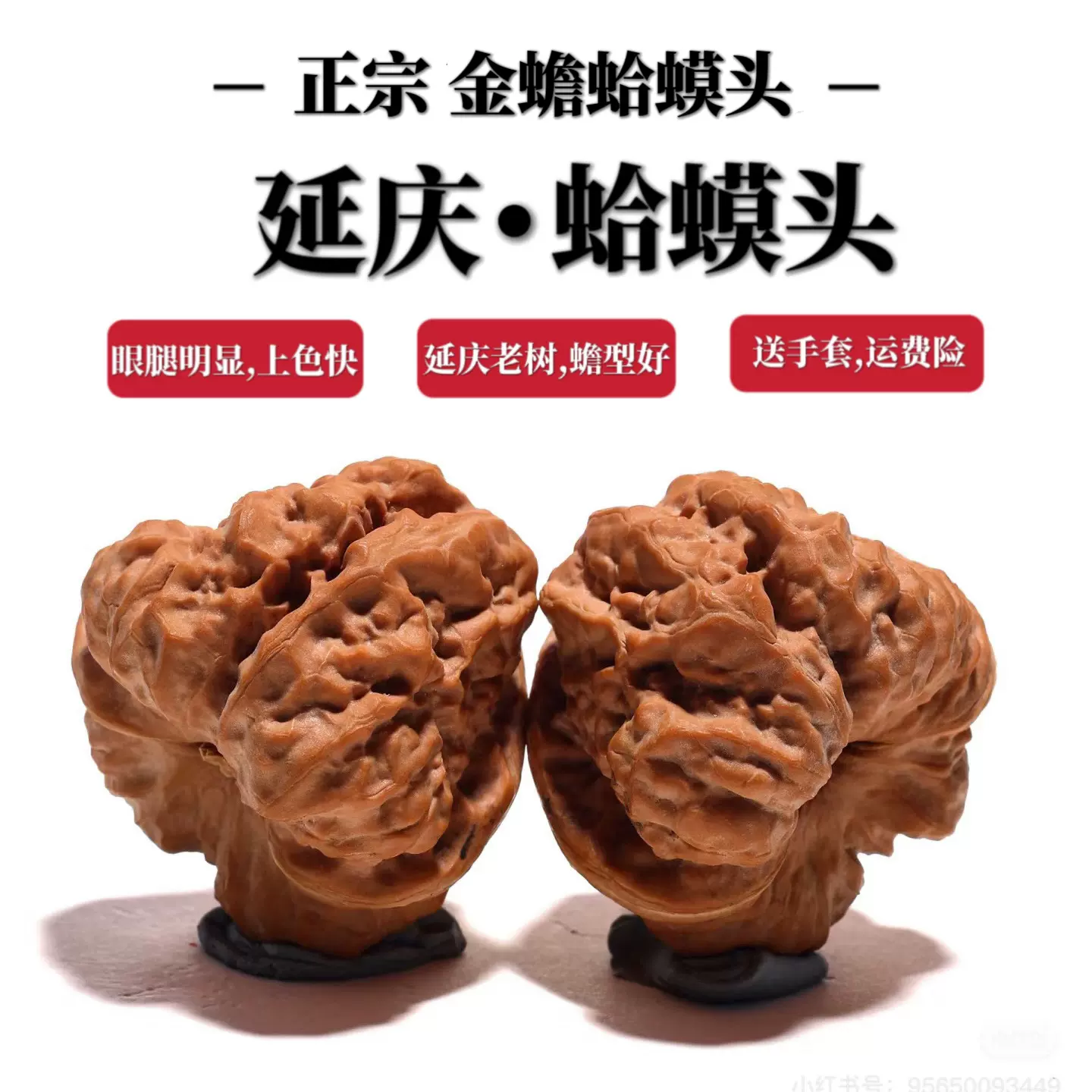 文玩核桃 蛤蟆? 文玩核桃 蛤蟆头 野生文玩核桃金蟾蛤蟆