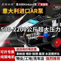 Black Cat High-Pressure Car Washing Machine, Industrial-Grade Ar Pump, High-Power Special Cleaning Machine for Car Wash Shops and Construction Sites