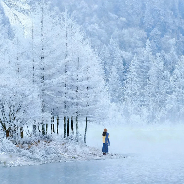 纯玩2-6人小团新疆旅游冬季北疆跟团游8日游北疆喀纳斯禾木大环线