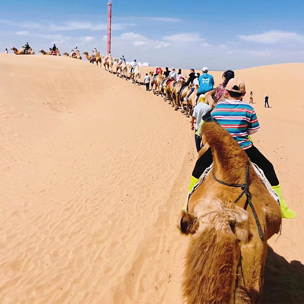 青海甘肃敦煌旅游包/拼车大西北青甘大环线5-6-7-8日游青藏线纯玩