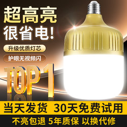 Led Energy-Saving Light Bulb E27 Screw Base Spiral Household Ultra-Bright Bulb Factory High-Power Lighting Waterproof