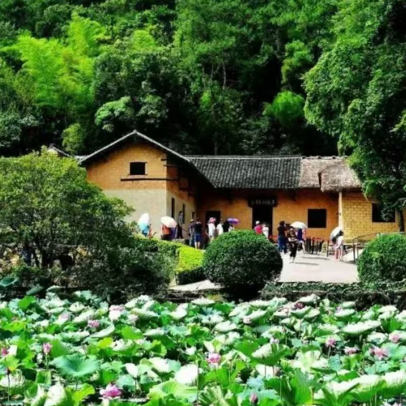 湖南旅游网红长沙+红色韶山+祈福衡山VIP精致小团五日游(15人)