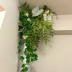 Air Conditioning Ducts Are Covered with Green Plants, Floral Arrangements, Simulated Tropical Green Plants, Artificial Flowers, Vine Plants, and Decorative Plants for Water Pipes