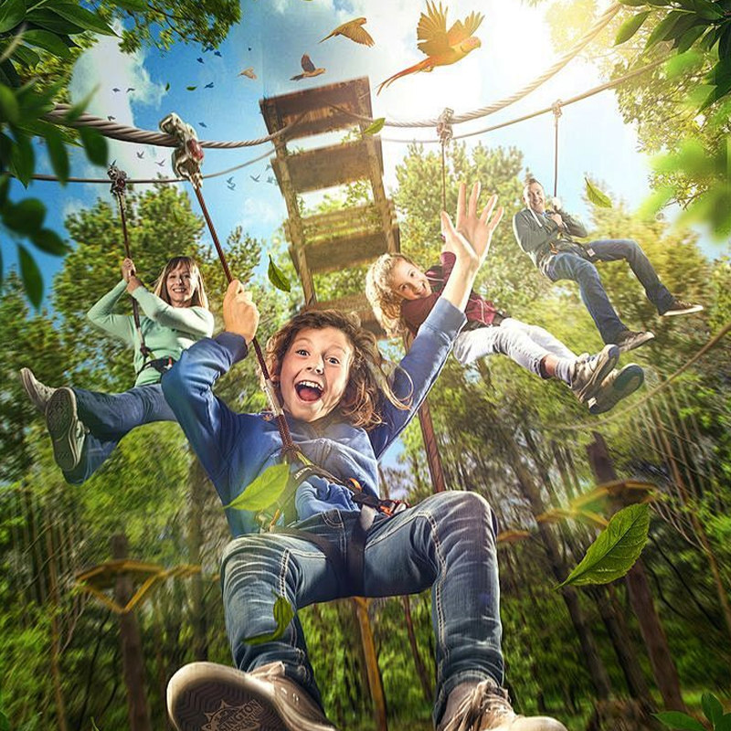 8人小团云南旅游西双版纳5天4晚纯玩跟团游基诺山雨林徒步野象谷