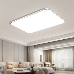 Led Living Room Ceiling Light Ultra-Thin Led Modern Simple and Elegant Room Bedroom Light Dining Room Hall Light Zhongshan Lighting Fixtures