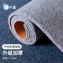 Carpet for Living Room, Bedroom, Entrance Door, Stain-Resistant, Commercial Use, Full Coverage, Office, Large Area, Soundproof, Maintenance-Free Carpet
