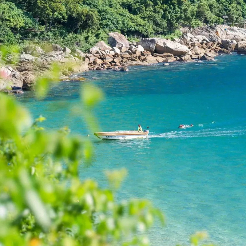 深圳一日游 2-6人团大鹏半岛天文台栈道鹅公湾桔钓沙 包车旅游