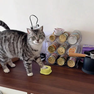 
Dog button trainer new toy pet communication sound dog recording button cat voice button