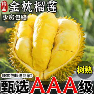 Thai Golden Pillow Durian Fresh Fruit SF Free Shipping Fresh Shelled Whole Seasonal 10*0.5kg Big Maoshan