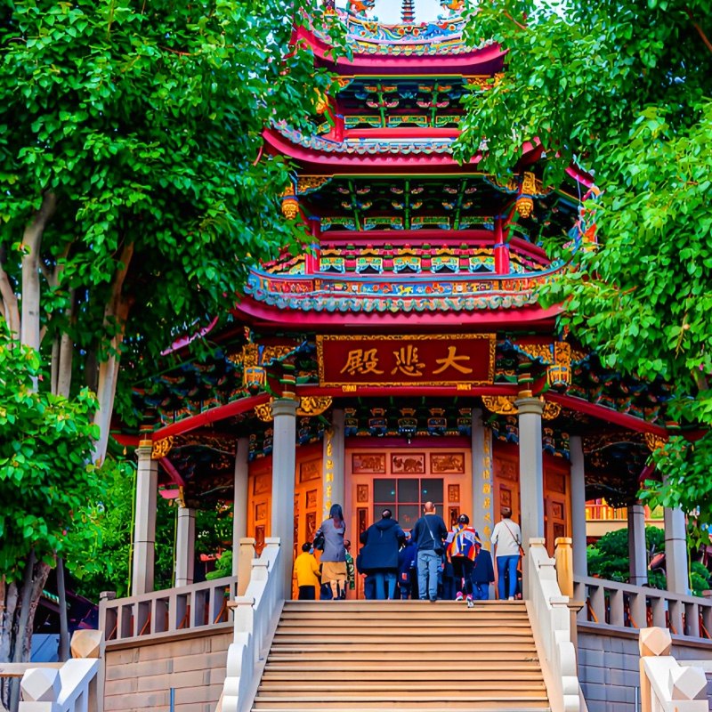 上海到普陀山旅游专线 舟山朱家尖码头 往返大巴车 可升级2+1