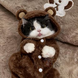 Cat Clothes with Fleece Lining for Warmth in Autumn and Winter, Cute Bear Four-Legged Outfit for Ragdoll, British Shorthair, Silver Shaded Plush Puppy Clothes