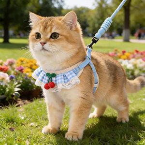 
Cat neck collar, chest and back rope for outdoor traction, cherry saliva scarf, small dog and kitten Teddy Bichon traction chest and back rope
