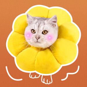 
Elizabethan cat sterilization collar, anti-licking and flea removal cat neck collar, neck collar, head collar, pet supplies