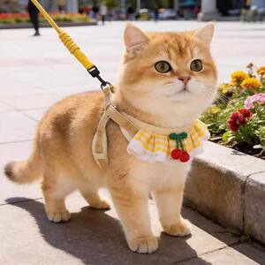 
Cat leash, walking rope, neck scarf, saliva towel to prevent breakaway kittens, small milk cats, gold gradient dog leash