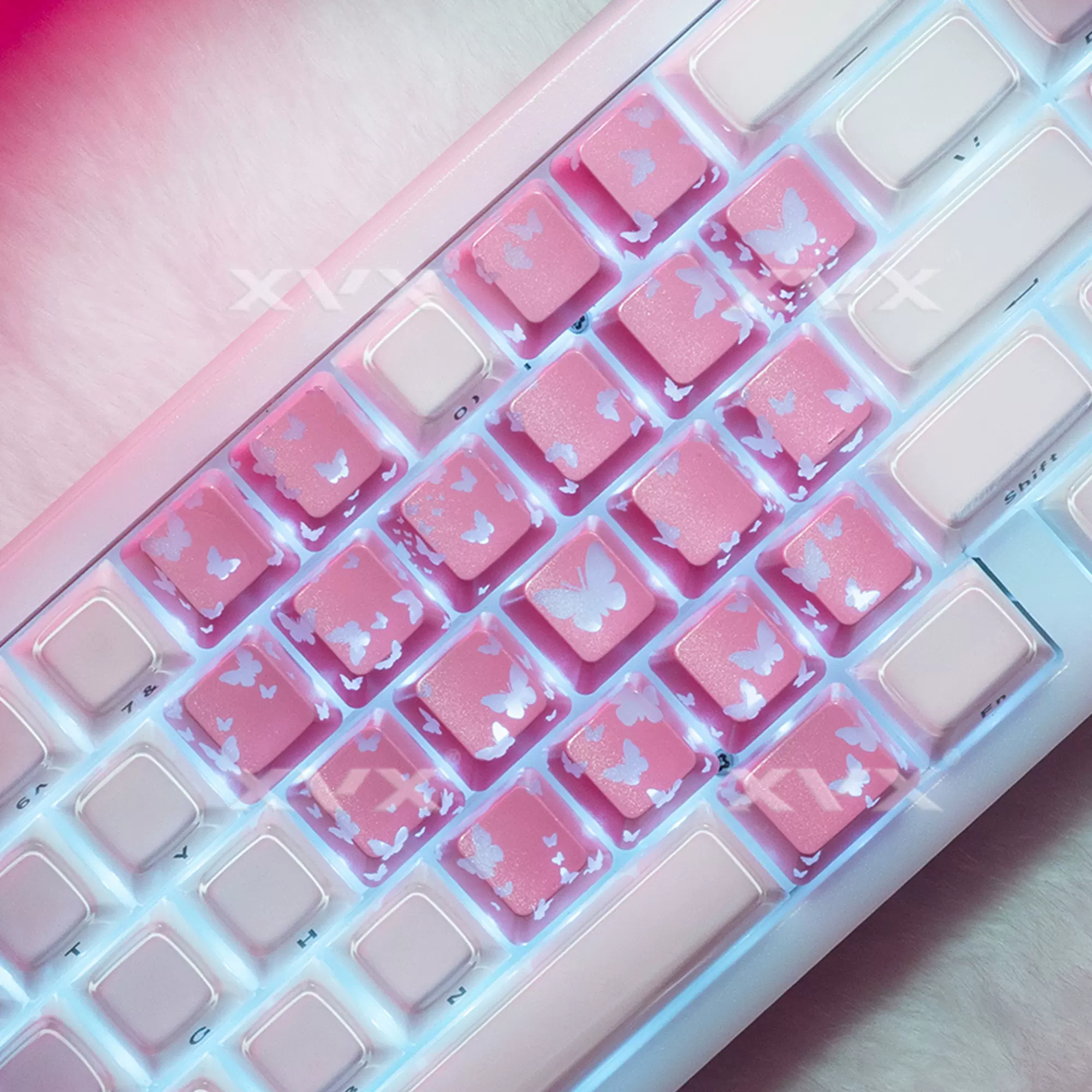 君子竹 PT-279 | キーボックス | ジョー・プリンス竹下株式会社