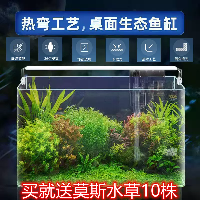 客厅热弯鱼缸免换水超透明玻璃led灯光造景水草缸