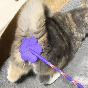 
Cat ass slapping toy, mother in love, love slapping, self-pleasure and boredom relief artifact, cat stick, pet dog trainer