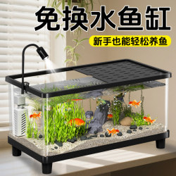 Guanzhiya fish tank new small ecological tank betta goldfish