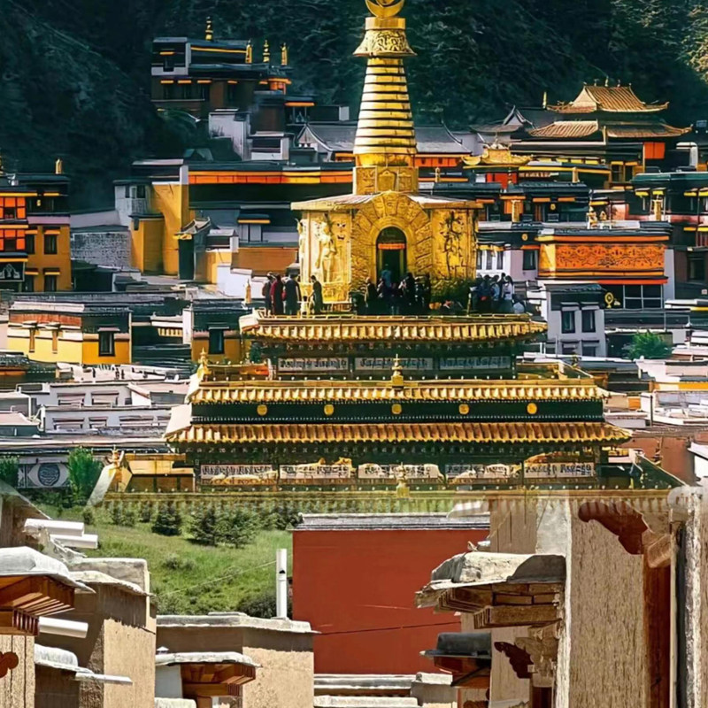 甘南旅游拉卜楞寺+甘加秘境+桑科草原纯玩精品一日游