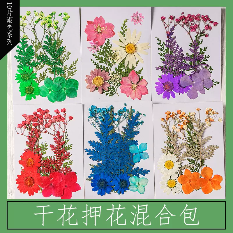 新品乾燥花diy押花寫真押花書籤壓花包壓花畫材料真花手工滴膠樹葉 Taobao