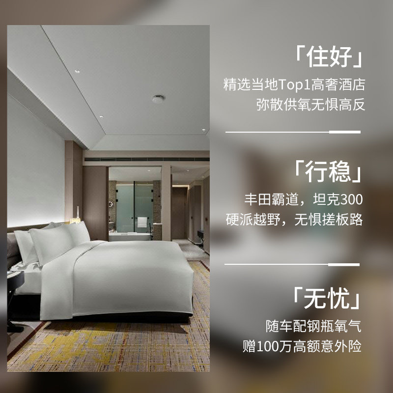 4人小团西藏阿里南线羊湖珠峰冈仁波齐7天6晚硬派越野拼车跟团游