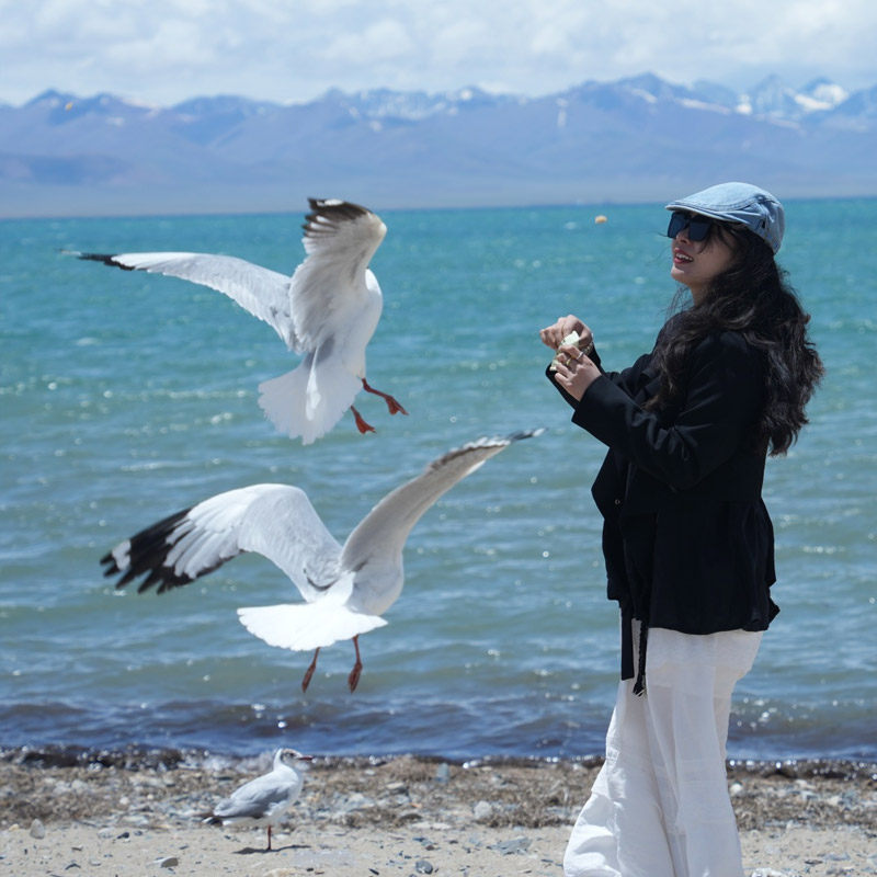 4人小团西藏旅游拉萨布达拉宫羊湖纳木措6天5晚拼车包车跟团游