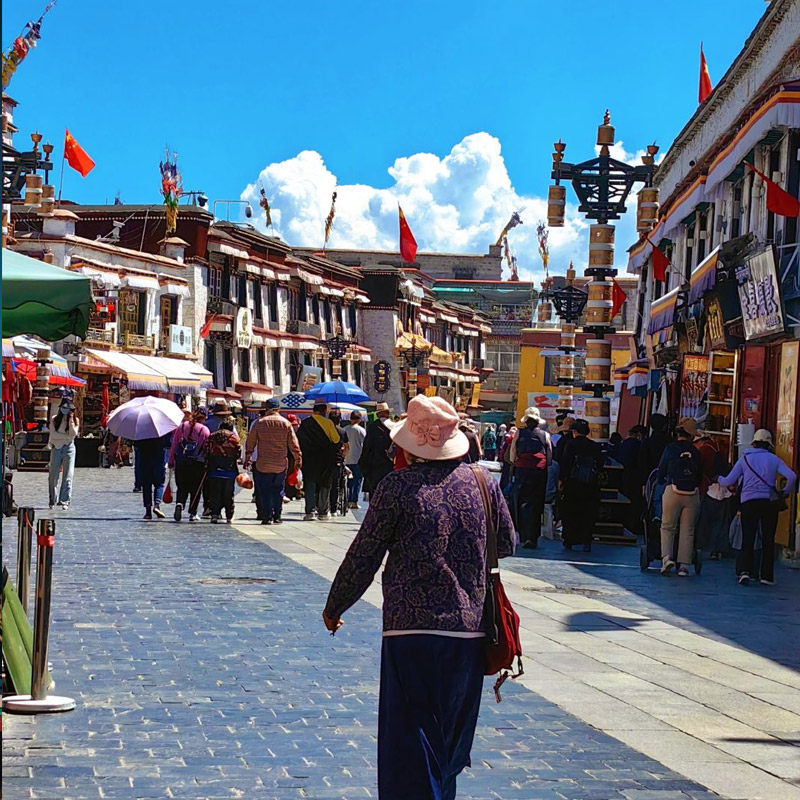 4人小团西藏旅游拉萨布达拉宫羊湖纳木措6天5晚拼车包车跟团游