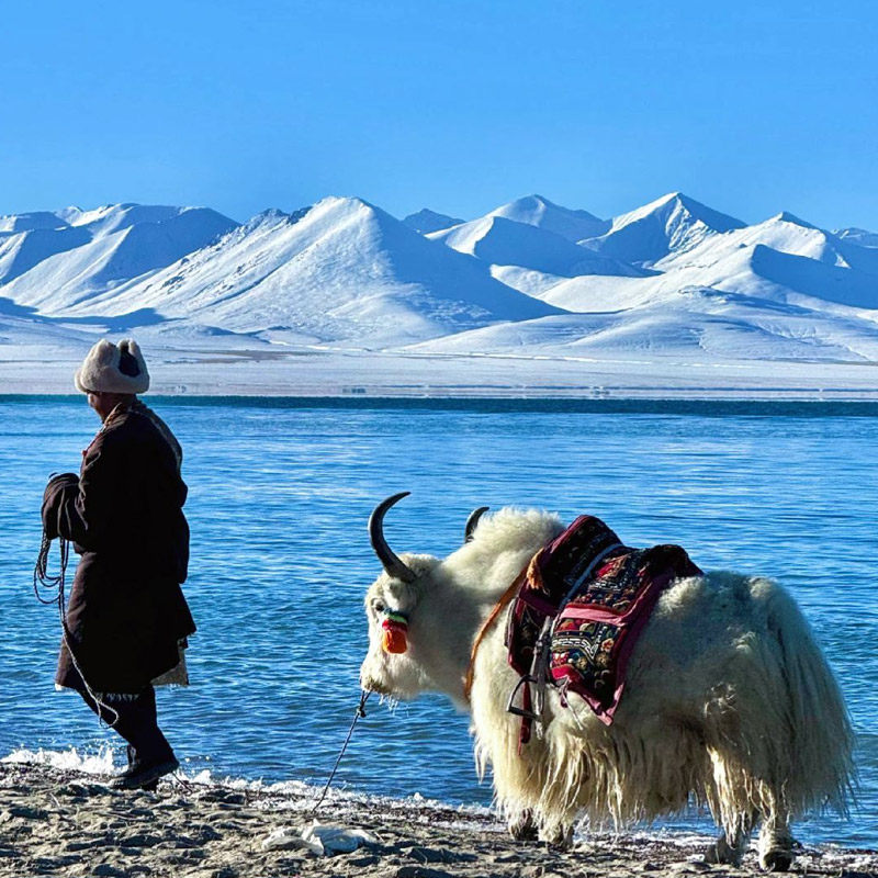 4人小团西藏旅游拉萨羊湖羌塘无人区纳木措3天2晚拼车包车跟团游