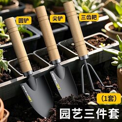 Flower Planting Tools Household Set for Growing Vegetables, Planting Flowers, Cultivating Succulents, Rake, Shovel, Gardening Small Shovel Three-Piece Set