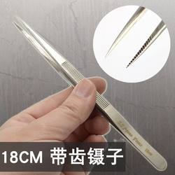 18cm extended hardened type non-slip tooth repair tweezers stainless steel tweezers with teeth industrial tweezers high hardness