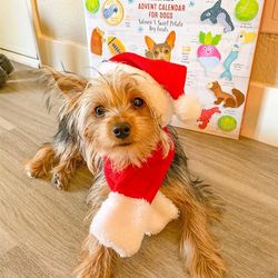 Pets Christmas hats, scarves, cats and dogs, Christmas clothes, accessories, headbands, scarves, autumn and winter clothes, free shipping
