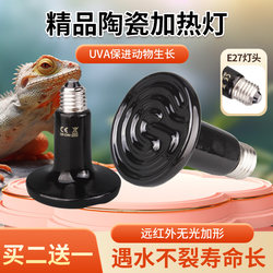 Rutin chicken special turtle quail hedgehog heating lamp