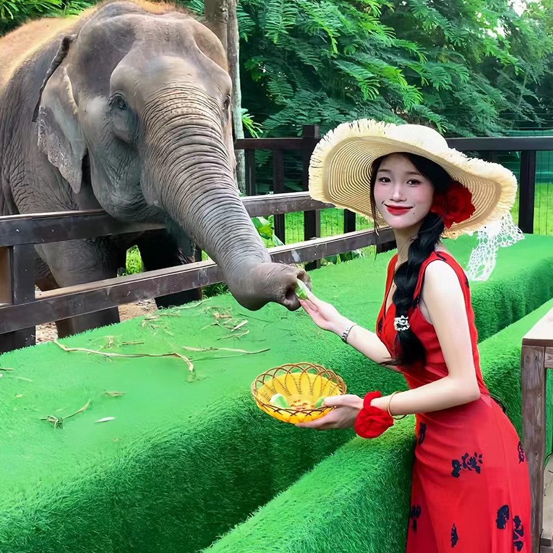 【住温德姆 12人轻奢团】直飞西双版纳5天4晚纯玩跟团游含机票