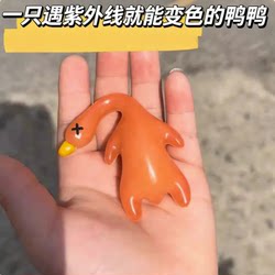 Color-Changing Roast Duck Pendant That Changes Color under Uv Light, Black Technology Creative Toy, Prank Roast Duck Keychain, Car Hanging Ornament