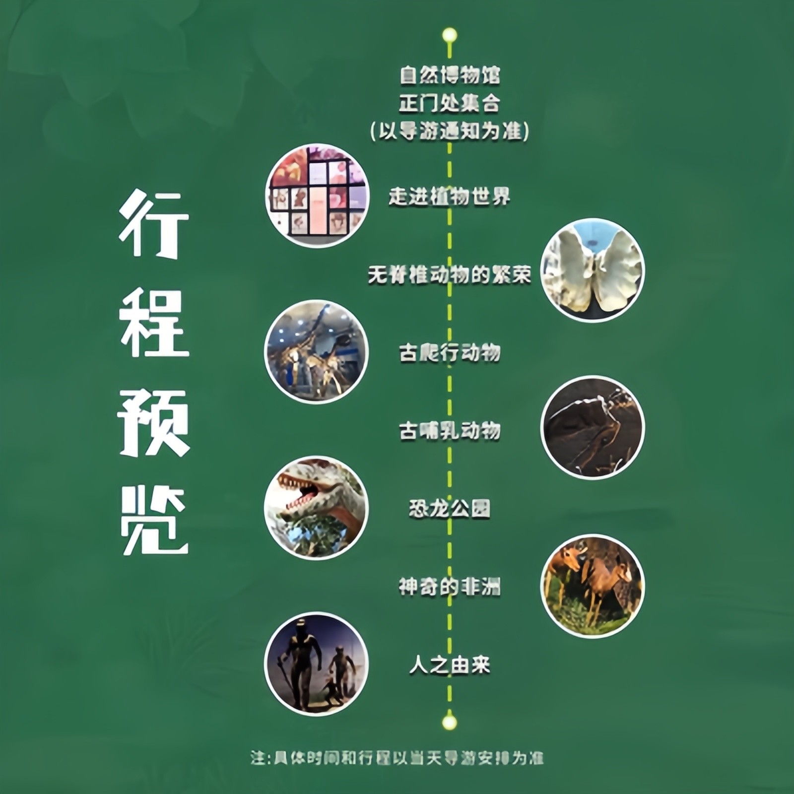 北京国家自然博物馆/亲子研学3小时/精品小团高级讲师行研学之旅