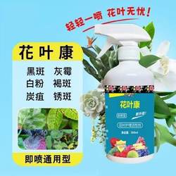 Huayekang plants and flowers for general home gardening