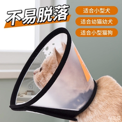 New Elizabeth Collar Pet Postoperative Recovery