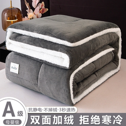 Lamb Wool Quilt 2025 New Winter Cotton Quilt Core, Single Dormitory Autumn and Winter Quilt, Thickened and Warm 5kg