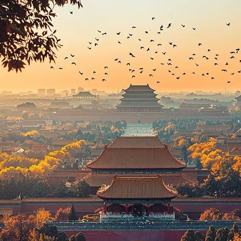 北京故宫博物院(故宫)精讲半日游【含门票+导游精讲+无购物】