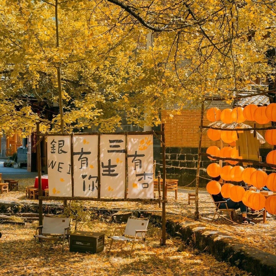 0购物一价全含云南旅游腾冲6天5晚跟团私家团含昆明双动往返-飞猪