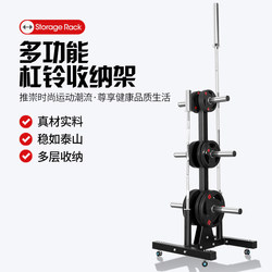 Barbell Weight Storage Rack, Gym Equipment Rack, Dumbbell Rack, Mobile Fitness Weight Storage Rack