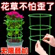Flower rack indoor household bracket universal crab claw flower shelf lotus care leaf rack garden art pot plant support rod
