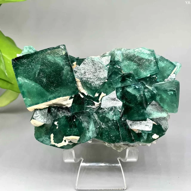 Yooperlite Stone Natural Green Fluorite Crystal Cluster Raw